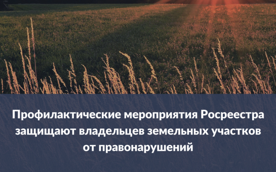 Административная ответственность собственников земельного участка. Административная ответственность собственников земельного участка
