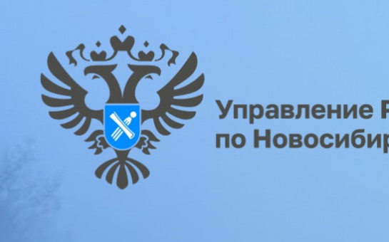 Больше четырех тысяч территориальных зон Новосибирской области внесено в ЕГРН