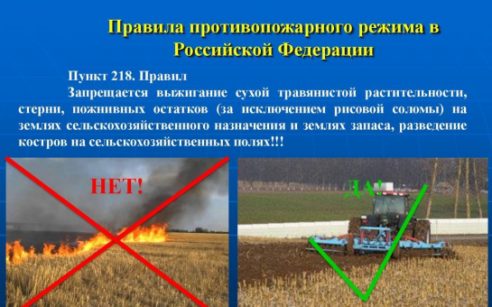 Правила противопожарного режима в Российской Федерации.