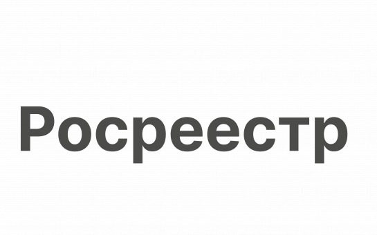 О признаках неосвоенной земли и условиях ее изъятия рассказала в эфире региональных новостей телеканала «Россия 1» заместитель руководителя новосибирского Росреестра  Наталья Ивчатова